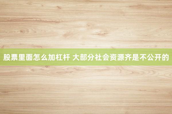 股票里面怎么加杠杆 大部分社会资源齐是不公开的