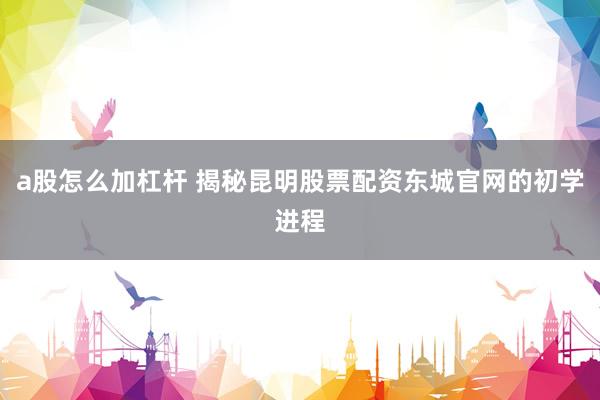 a股怎么加杠杆 揭秘昆明股票配资东城官网的初学进程
