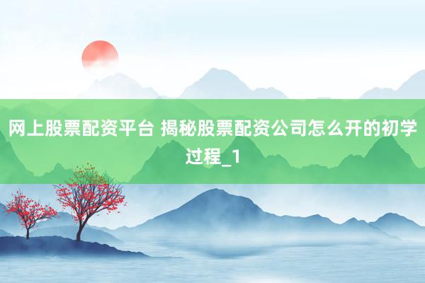 网上股票配资平台 揭秘股票配资公司怎么开的初学过程_1