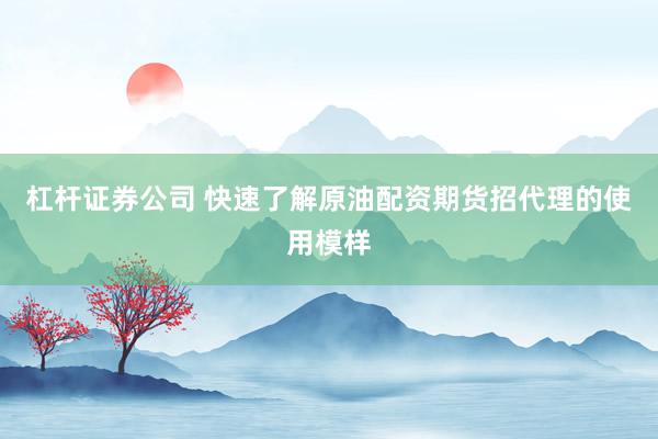 杠杆证券公司 快速了解原油配资期货招代理的使用模样